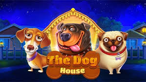 Dog House 5gringos slot
